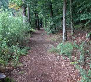 Museum Römer und Bajuwaren