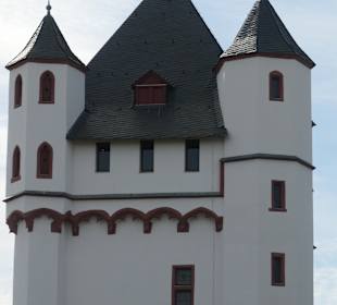 Die Kurfürstliche Burg Eltville