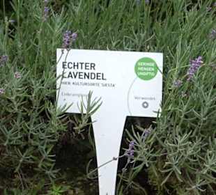 ALB-GOLD Naturgarten