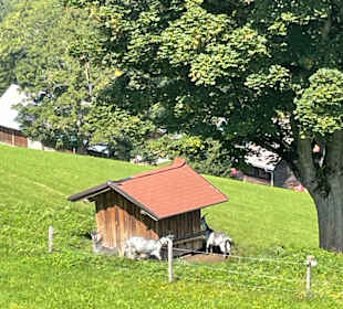 Sonstiges