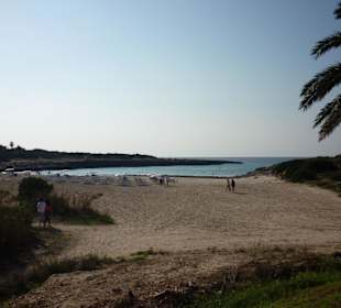 Badebuch Cala 'n Bosch