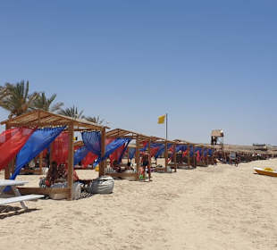 Abu dabbab