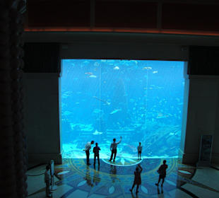 Aquarium