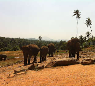 Sri Lanka 2016