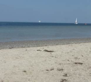 Unterwegs am Naturstrand auf der Halbinsel Priwall