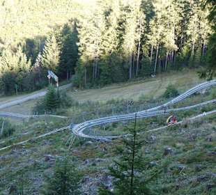 Rittisberg Coaster Über Stock und Stein