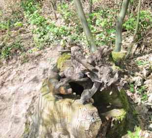 Theresienweg Weyher