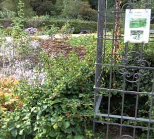 Rosengarten im Tiergarten