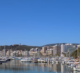Hafen von Palma de Mallorca im März 17