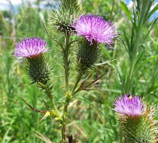 Wandern Foz do Iguacu