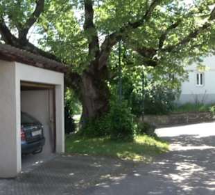 Ehemalige Ziegelhütte Gönningen