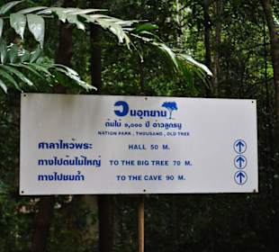 Tiger Cave Tempel (Wat Tham Sua)
