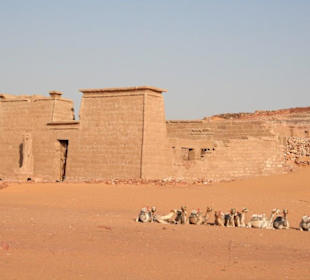 Neu Sebu´a, Tempel Wadi es Sebu´a