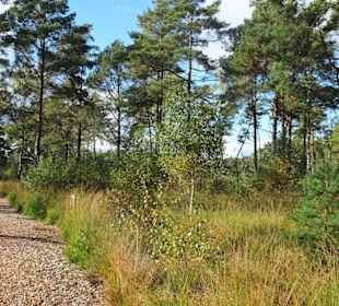Eindrücke aus dem Großen und Weißen Moor