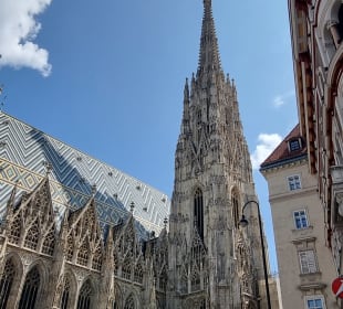Dom