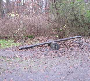 Waldbasar in Dudenhofen