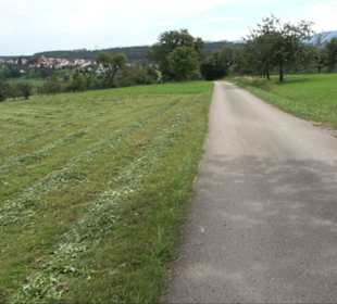 Sonnenaufgangs-Rundwanderung Rübgarten