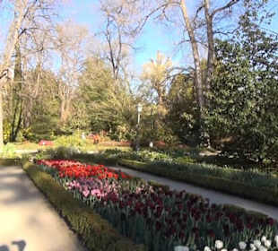 Real Jardín Botánico de Madrid
