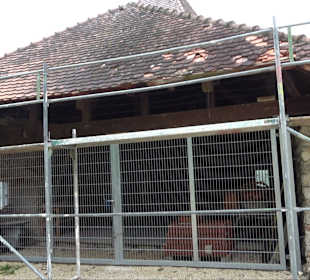 Ruine Burg Kaltenburg