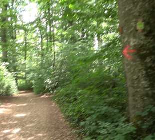 Hochgeträumt Premiumwanderung