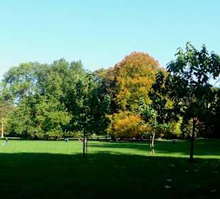 Die Schillerwiese in Herbststimmung 