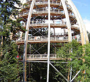 Baumwipfelpfad
