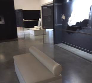 Dinosaurier Museum Altmühltal