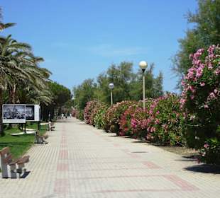 Spaziergang über die Strandpromenade Argelès-Plage