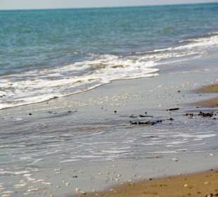 Ende September 2010 Inspirationen