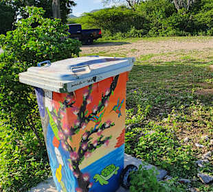 Rundfahrt Insel Bonaire