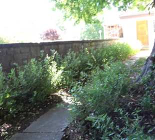 Evangelische Michaelskirche - Pfäffingen