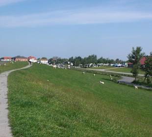 Deichwanderung Fedderwardersiel - Burhave