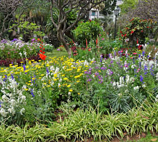 Impressionen aus dem Stadtpark von Funchal
