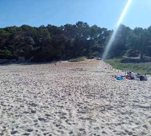 Küstenwanderung Cala Mondrago in Cala Mondrago