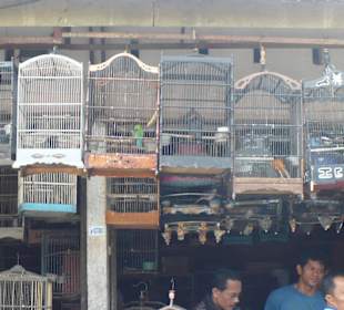 Vogel-Markt, Denpasar