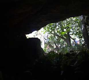 Drachenhöhle / Coves del Drac 