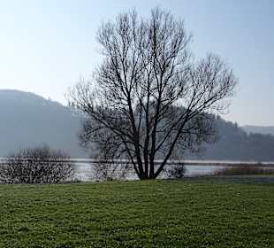 Winterlicher Edersee