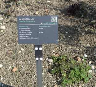 Erläuterungen der Kräuter