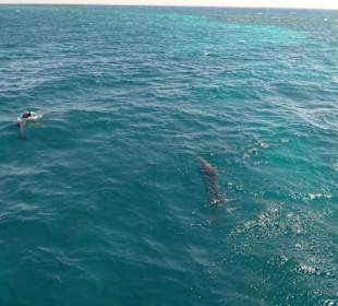 Das Paradies zum greifen nah