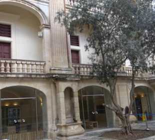 Naturhistorisches Museum