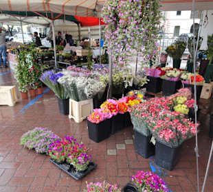 Eindrücke vom Wochenmarkt Nuoro