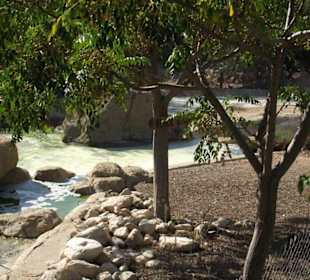 Gehege für die Schwäne