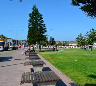 Bondi Beach