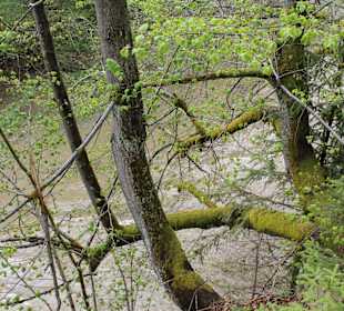 Slowakisches Paradies