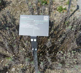 Kräuter Hinweistafel
