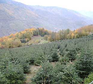 Umgebung vom Kraftweg