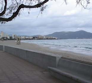 Strand von Calla Millor