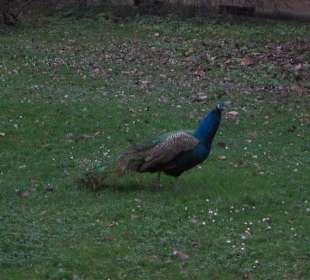 Mala Strana Vojanovy Sady