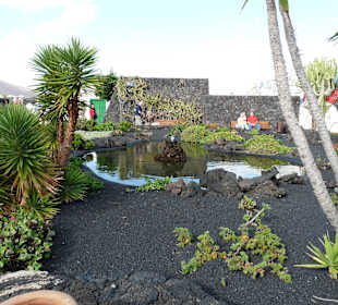 Fundacion Cesar Manrique