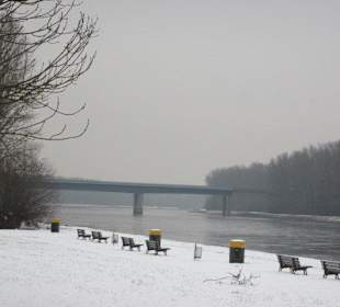 Am Rhein im Winter